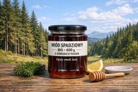 Słoik miodu spadziowego bio 400 g na drewnianym stole z lasem w tle