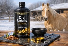 Butelka oleju lnianego dla koni z łyżką oleju i koniem w tle