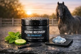 Czarny słoik żelu chłodzącego Equine Recovery z ogórkiem i miętą na tle konia o zachodzie słońca