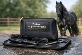 Zestaw do pielęgnacji grzywy i ogona konia z szczotką, grzebieniem i nożyczkami