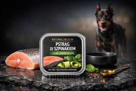 wizualizacje_produktow_pet_care_pies_kot_19
