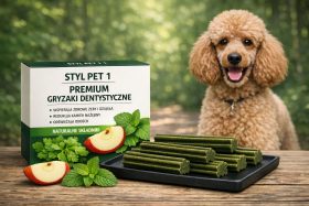 Pudel obok opakowania i zielonych gryzaków dentystycznych dla psa na drewnianym stole